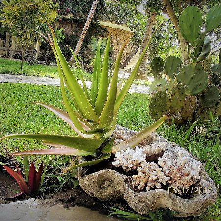 Fortamu Lady D House Watamu Extérieur photo