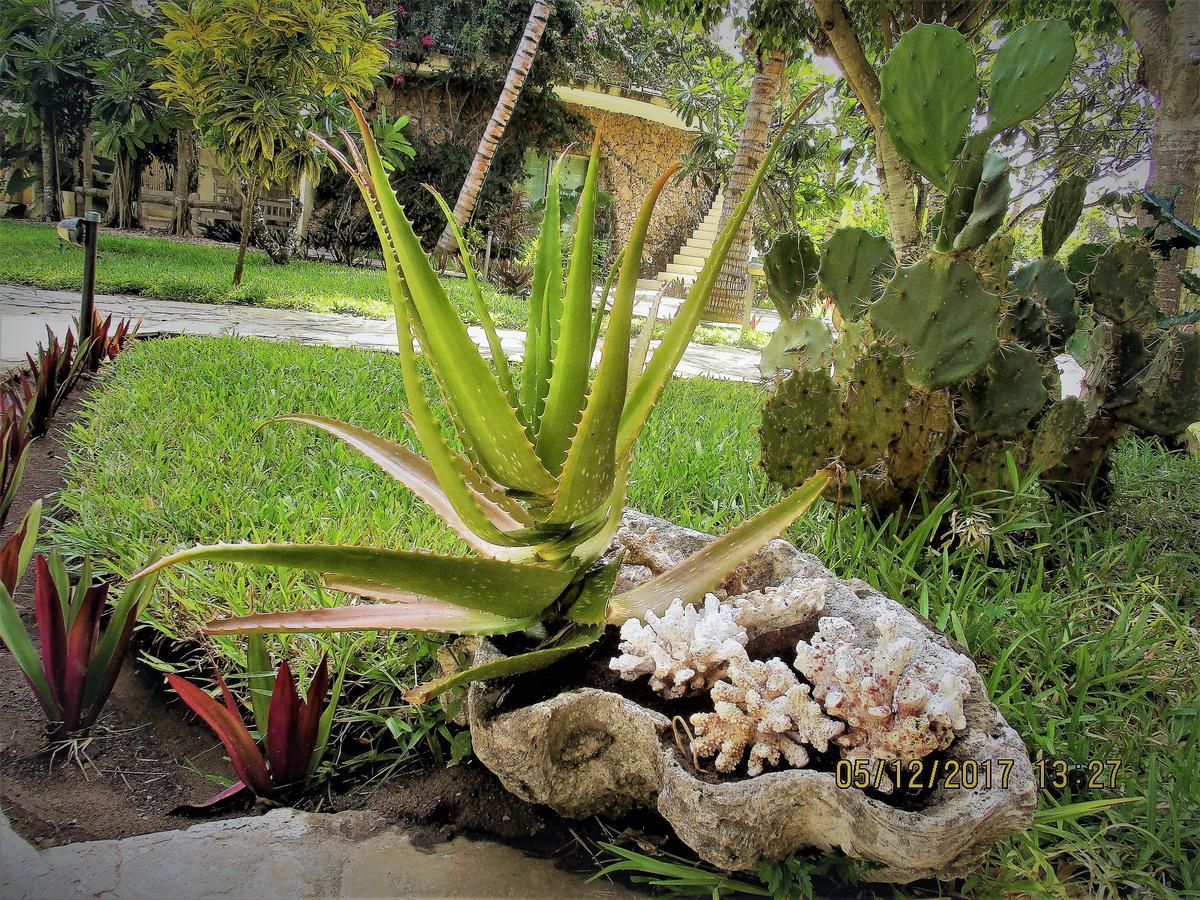 Fortamu Lady D House Watamu Extérieur photo